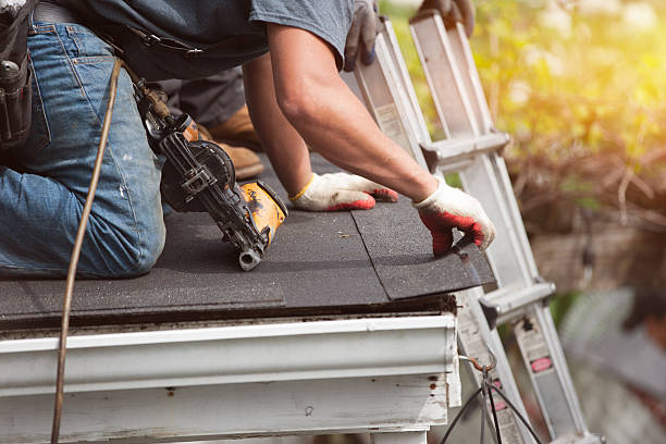 Best Roof Repair Services  in Mion, AR